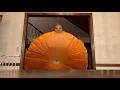 Man transforms into Pumpkin