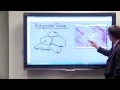 Adipose Tissue