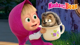 masha and the bear 2025 dont play hide and seek best episodes cartoon collection 