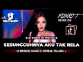 Download Lagu DJ SESUNGGUHNYA AKU TAK RELA MELIHAT KAU DENGANNYA DJ BINTANG 14 HARI