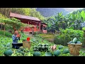 Download Lagu Build a farm and garden in the mountains: harvest lots of watermelons to sell at the market.