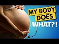 Lagu Bodies And Birth - STAGES of LABOR and Having a Baby!