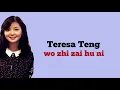 Teresa Teng - Wo Zhi Zai Hu Ni ( I Only Care About You )| Lirik Terjemahan