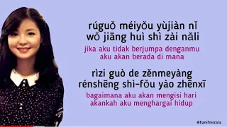 teresa teng wo zhi zai hu ni i only care about you lirik terjemahan