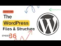 WordPress Files Explained Complete Guide to WordPress File Structure 2025