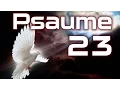 Psaume 23 - L Eternel est mon berger je ne manquerai de rien