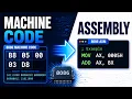 Machine Code to Assembly Explained
