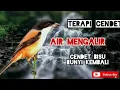 TERAPI CENDET MALAS BUNYI¦¦AIR MENGALIR||DIJAMIN BUKA GACOR LAGI