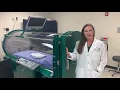 Dr Stacy Wilbanks - NEA Baptist Wound Care
