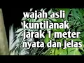 Download Lagu wajah asli kuntilanak jarak 1 meter nampak jelas didepan mata  #kuntilanak #duniamesteri #dunianyata