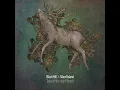 A wild river to take you home - Black Hill & Silent Island