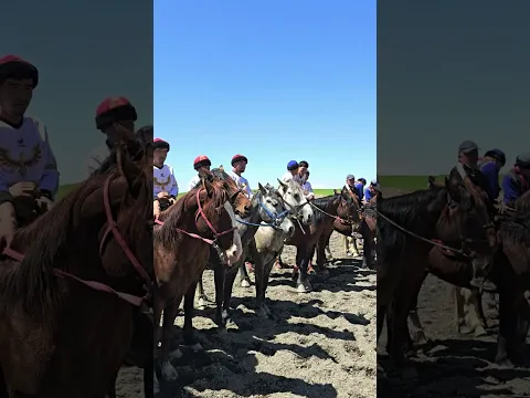 3 мая 2026 г.