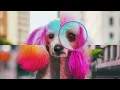 SynthID A tool for watermarking and identifying AI-generated content