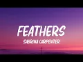 Download Lagu Sabrina Carpenter - Feather (Lyrics)