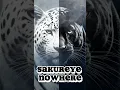 SAKUREYE - NOWHERE #new #music #feel #remix
