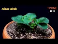 Download Lagu Adzan Subuh TVONE tahun 2016