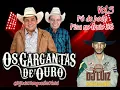 Download Lagu Os gargantas de ouro- Pé de bode/Pisa no freio Zé (CD Volume 3)