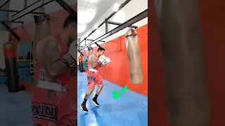 تمرین بوکس در خانه   آموزش بوکس اصولی با کیسه بوکس بوکس حرفه ای بوکس آماتور                         دندنها