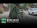 New Jersey police officers pose as shrubs to catch unsuspecting drivers on their phones