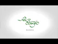Ahmad Ya Habibi Salam Alaik | Ali Elsayed Nasheed (video)