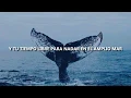 | AKMU | « WHALE » [고래] || Sub Español