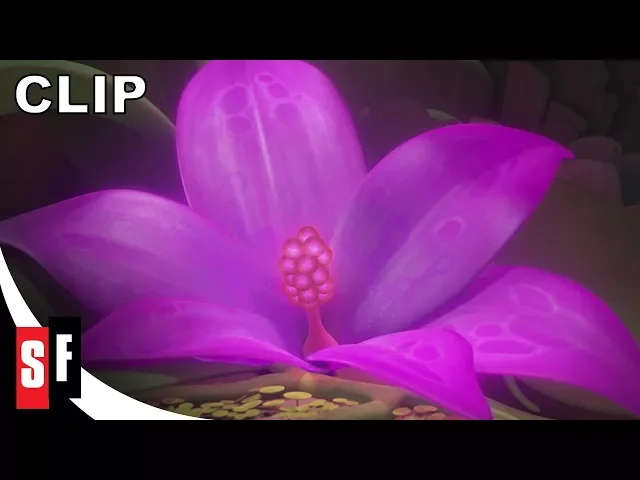 background images