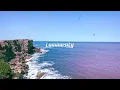 Jungle - The Wave