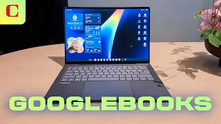                                                   دندنها