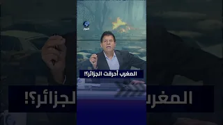 رد صالح الأزرق على متصل يقول أن المغرب وراء الحرائق في الجزائر  دندنها