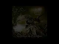 Children of Bodom - Not My Funeral (Guitar Solo Cover + TAB)