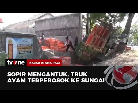 Truk Angkut Ratusan Ayam Terperosok ke Sungai