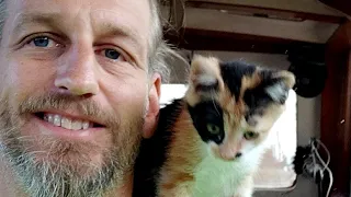 18-17_Whats going on, on SY ZERO