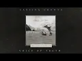 Casting Crowns - Voice of Truth (Official Lyric Video)