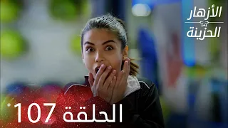 الأزهار الحزينة الحلقة 107 كاملة Kırgın Çiçekler 