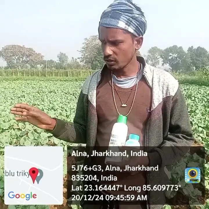 रांची जिले के रंजीत कुमार महतो की कैसे लहलहाई गोभी की खेती