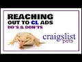 Reptiles - Craigslist s Pets Ads And What To Expect