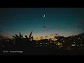 C Y G N - Tropical Midnight [lofi hip hop, relax, study]