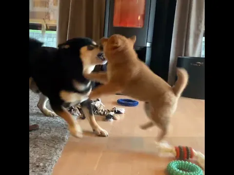 Stop, this is Harassment