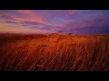Prairie Wind at Dusk 🌾 90 Minutes of Gentle Wind Sounds for Sleep & Relaxation