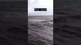 STORM SAILING! #shorts #storm #stormsailing