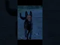 Download Lagu zombie dog 🐕#attack #shorts  ThalapathyRaju