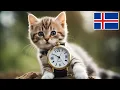 Days Months in Icelandic
