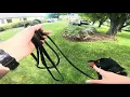 AKC Scentwork Master Exterior Search Second Place