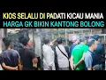 Download Lagu ⭐KIOS YG SELALU PADAT PENGUNJUNG HARGA  GK BIKIN KANTONG BOLONG DI PASAR BURUNG PRAMUKA HARI INI