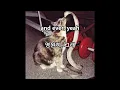 Geese - Cobra 한글 번역 가사