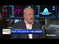 Fundamentals are improving for pot stocks in the US Curaleaf chairman