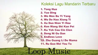 Download Lagu Kumpulan Lagu Mandarin Terbaru part 1
