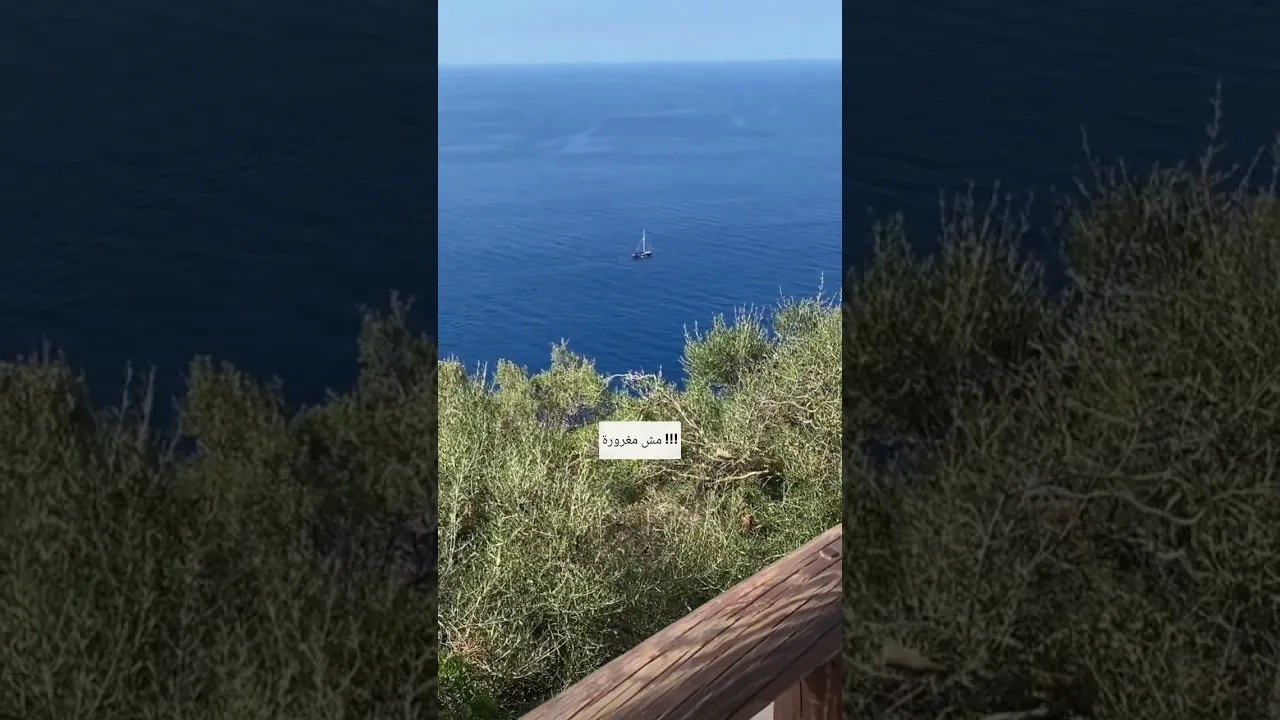 ١٤ سبتمبر ٢٠٢٦