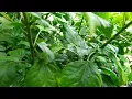 QAUTOHeadlineUSE Apr 18 17 17 26 IST 2025 Crmoments Scheduled story 9 minutes NR-VOSOT