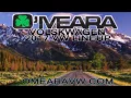 O Meara Volkswagen Presents the 2017 VW Lineup